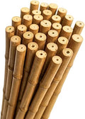 Bamboo cane 6ft
