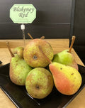 Perry Pear 'Blakeney Red'