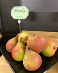 Perry Pear 'Brandy'