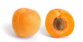 Apricot 'Early Moor Park'
