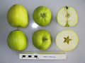 Apple 'Emneth Early'