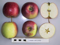 Apple 'George Cave'