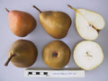 Pear 'Onward'