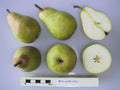 Pear 'Beth'