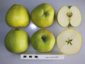 Apple 'Port Allen Russet'