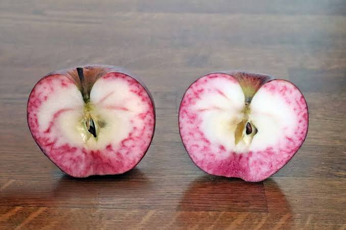 Apple 'Sops in Wine' - Apple - Dual - bareroot tree