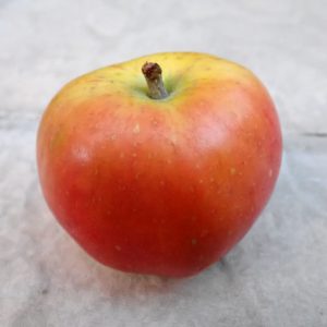 Irish Peach - Apple Tree